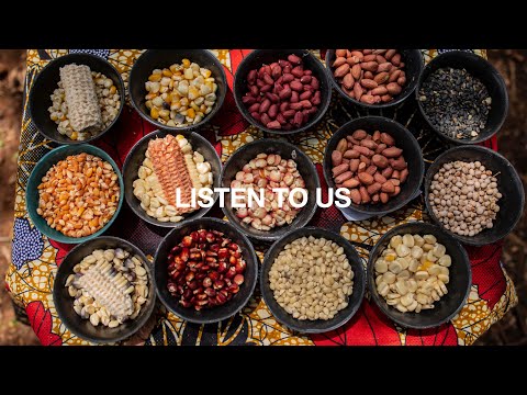 LISTEN TO US