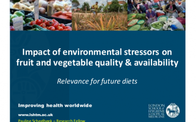 Pauline Scheelbeek – “Impact of environmental stressors on fruit and vegetable quality and availability”