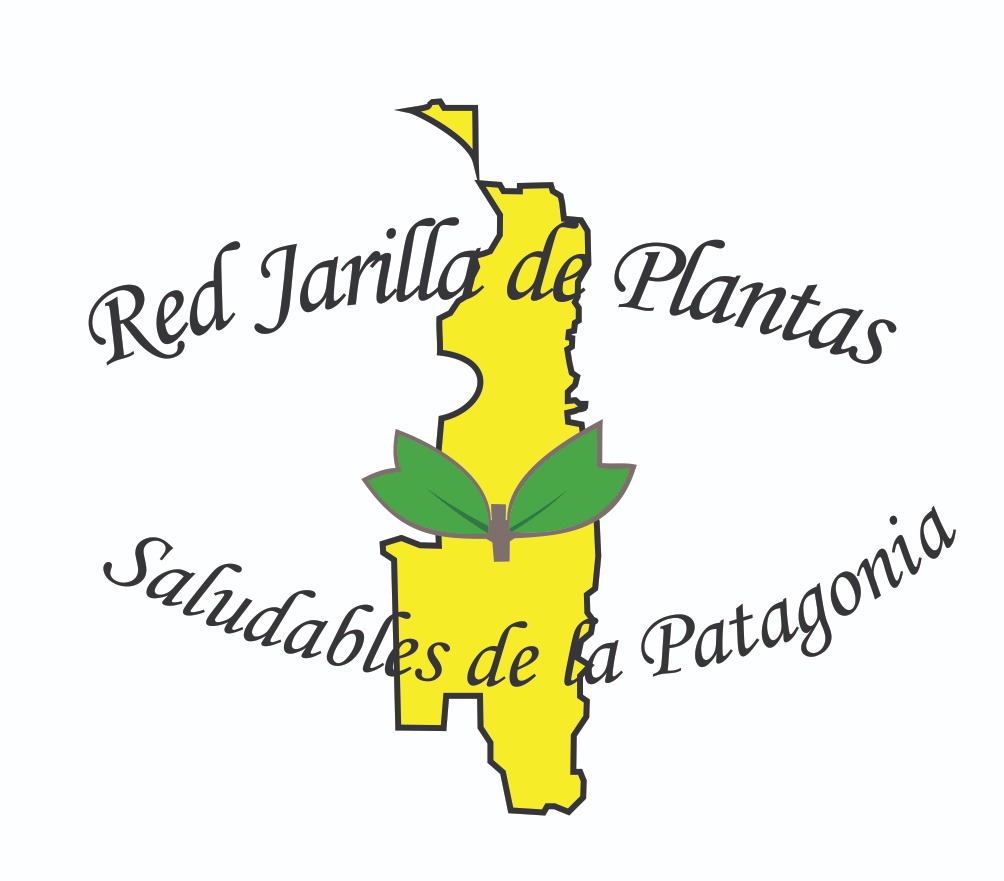 Red Jarilla de Plantas Saludables de la Patagonia