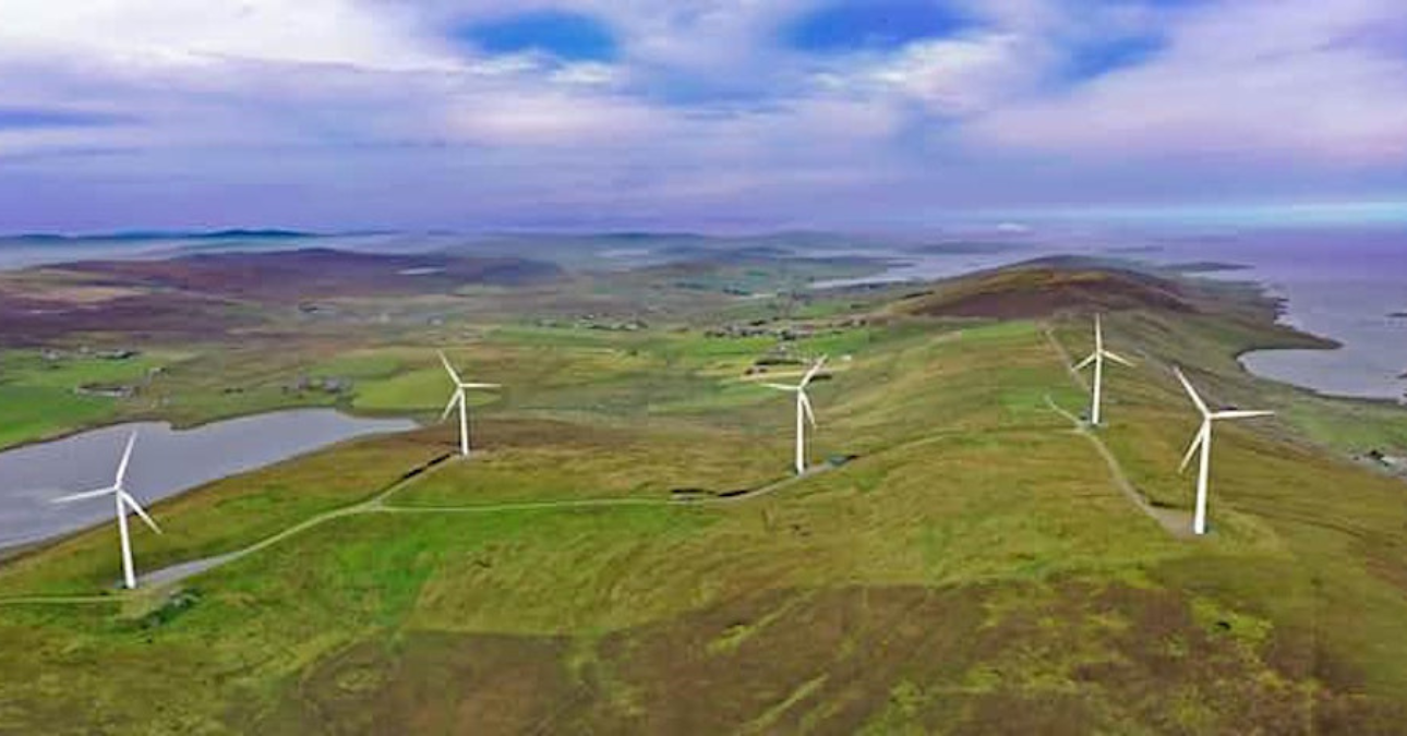 Windmills in a field