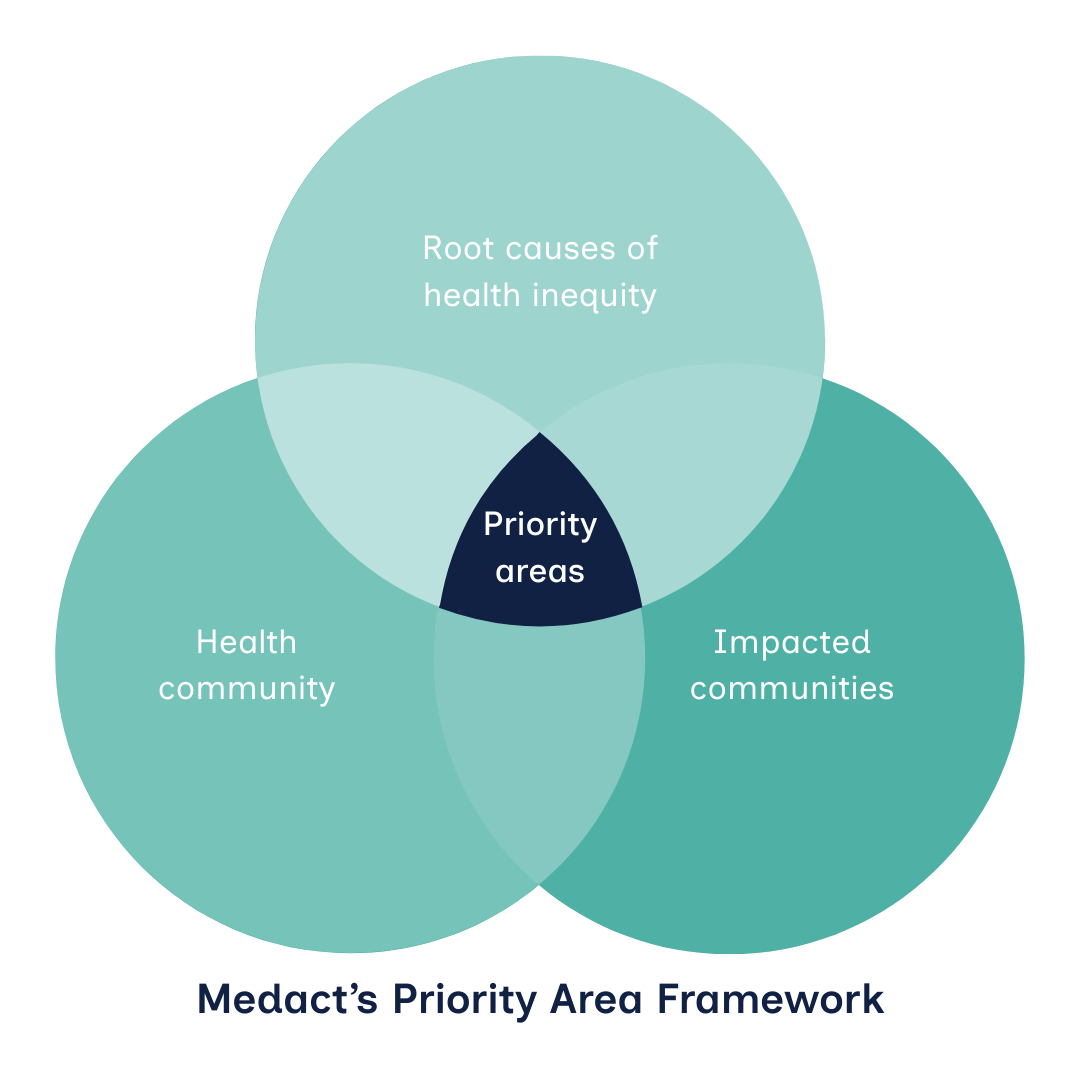 Medact's Priority Area Framework